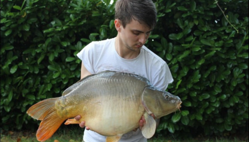 A carp from Lillybelle, Martin Holland, Aug 2018