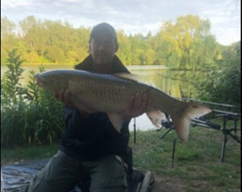 A 20 lb grass carp from Lillybelle, Doug Brown, Jun 2019