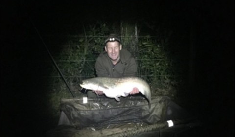 A 23 lb 4 oz catfish from Lillybelle, Tim Booth, Oct 2019