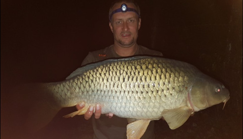 A 20 lb carp from Lillybelle, Martin Daws, Sep 2016