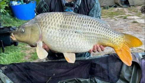 A 28 lb carp from Lillybelle, Kirk Hazelgrave, Jul 2023