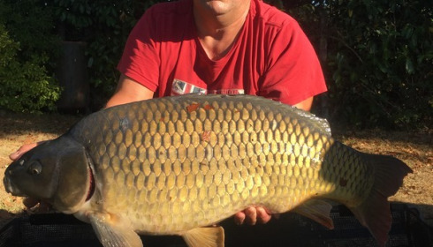 A 31 lb carp from Lillybelle, Richard Barnes, Aug 2016