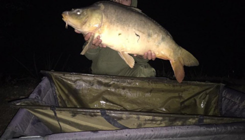 A 24 lb 12 oz carp from Lillybelle, Kevin Holbrook, Aug 2017