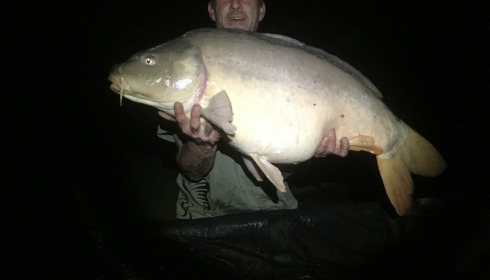 A 33 lb 2 oz carp from Lillybelle, Steve Bellis, Apr 2017