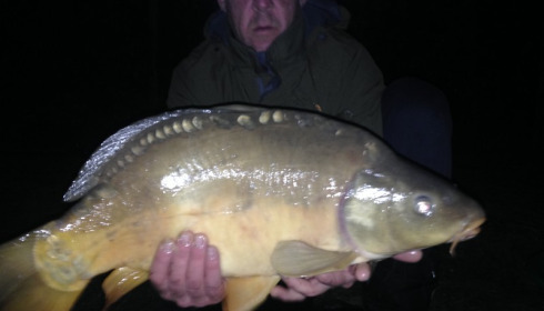 A 21 lb carp from Lillybelle, Steve Cookson, Apr 2016