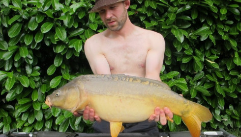 A carp from Lillybelle, Greg Harrison, Jul 2016