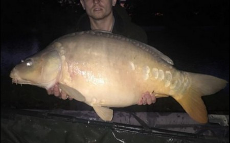 A 30 lb 4 oz carp from Lillybelle, Jack Easton, Sep 2018