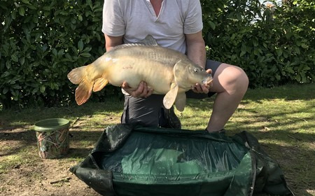 A 31 lb 5 oz carp from Lillybelle, Mark, Apr 2017