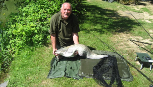 A 25 lb catfish from Lillybelle, Gary, Jun 2015
