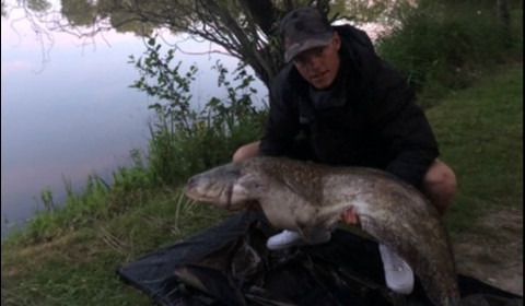 A 43 lb catfish from Lillybelle, Billy Brown, Jun 2019