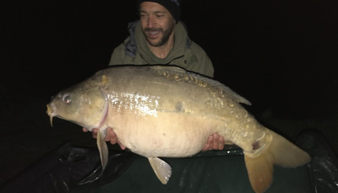 A 31 lb carp from Lillybelle, Simmo, Apr 2017