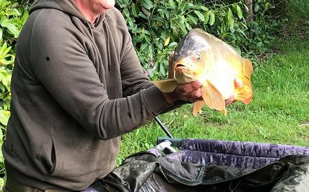 A 27 lb carp from Lillybelle, Phil Nicholson, May 2018
