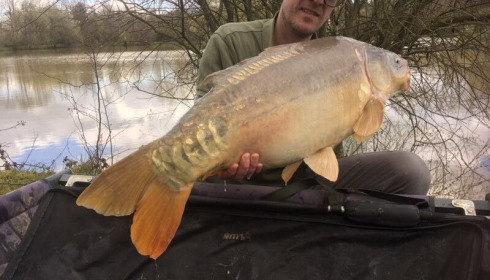 A 23 lb 6 oz carp from Lillybelle, Daniel Norrung, Mar 2018
