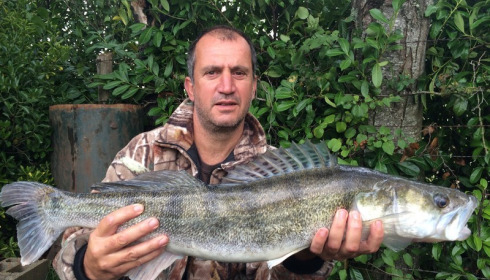 A fish from Lillybelle, Mark Russell, Oct 2015