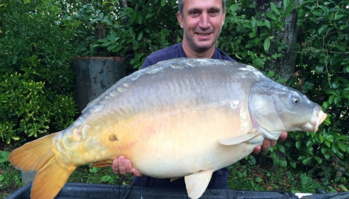 A 41 lb 3 oz carp from Lillybelle, Mark Russell (pb), Oct 2015