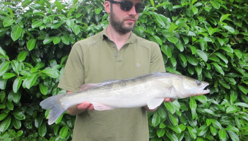 A fish from Lillybelle, Steve Juggins, Jul 2016