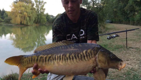 A carp from Lillybelle, Damien Owen, Sep 2014