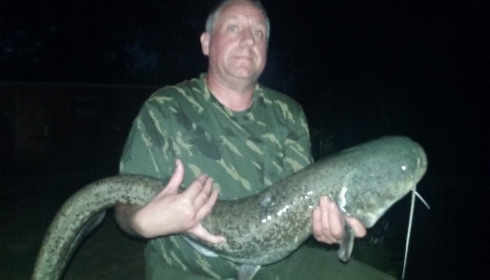 A 27 lb catfish from Lillybelle, Ray Clark, Jun 2017