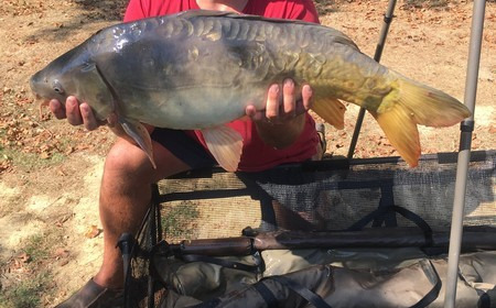 A carp from Lillybelle, Richard Barnes, Aug 2016