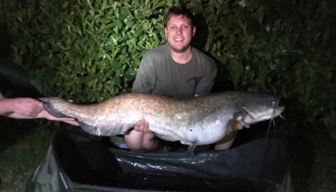 A 42 lb catfish from Lillybelle, Johny Brown, May 2018