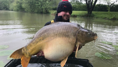 A carp from Lillybelle, Tim Hogg, Apr 2018