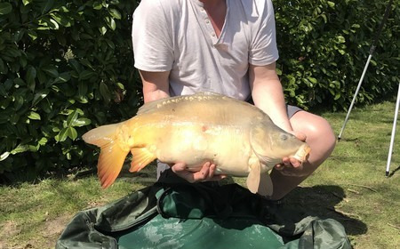A 27 lb carp from Lillybelle, Mark, Apr 2017