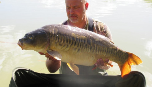 A 25 lb 8 oz carp from Lillybelle, Brian Edwards, Sep 2016