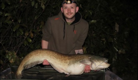 A 45 lb catfish from Lillybelle, Liam Dunnett, Apr 2019
