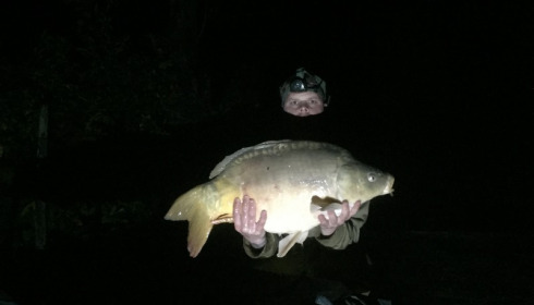 A 26 lb 14 oz carp from Lillybelle, Wayne Sharp, Apr 2016