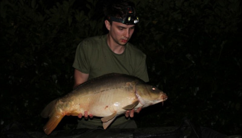A carp from Lillybelle, Martin Holland, Aug 2018