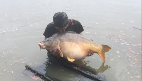 A 50 lb carp from Lillybelle, Carl Stammers, Oct 2019