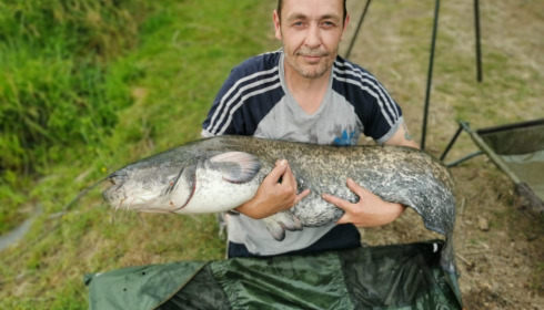 A catfish from Lillybelle, Adrian Fullwell, May 2022
