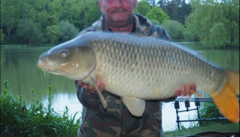 A 31 lb carp from Lillybelle, Derrick Scott, May 2019