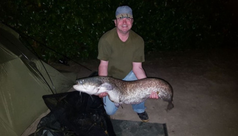 A 37 lb catfish from Lillybelle, Mark Tomkins, Jun 2017
