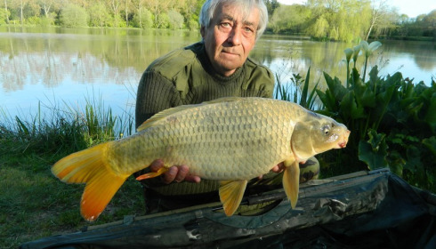 A carp from Lillybelle, Ian Colyer, May 2016