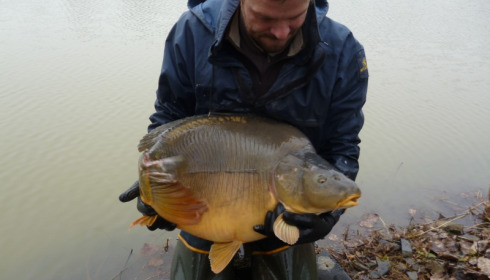 A 39 lb carp from Lillybelle, Stocking, Jan 2015