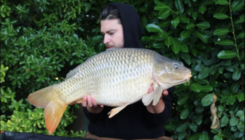 A 24 lb carp from Lillybelle, Paul Hodgkinson, Aug 2018