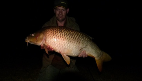 A carp from Lillybelle, Simon Green, Sep 2014