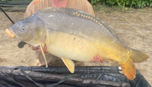 A 33 lb carp from Lillybelle, Mark Smith, Sep 2021