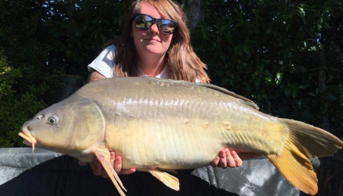 A carp from Lillybelle, Rebecca Long, Jul 2016