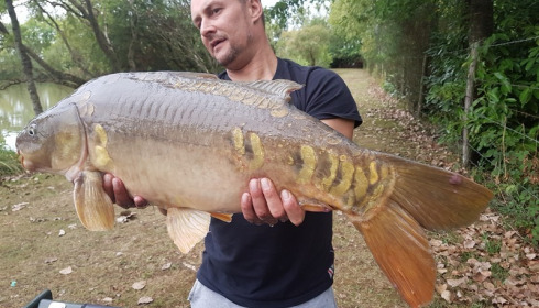 A 20 lb carp from Lillybelle, Martin Daws, Sep 2016