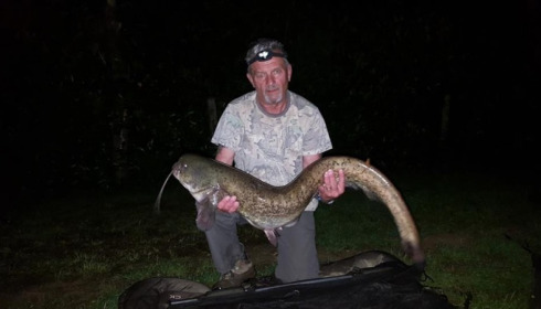 A 24 lb 7 oz catfish from Lillybelle, Malcolm Stead, Jun 2016