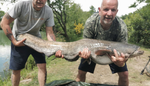 A catfish from Lillybelle, Peter Catlow, May 2022