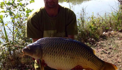 A carp from Lillybelle, Kev Holbrook, Sep 2014