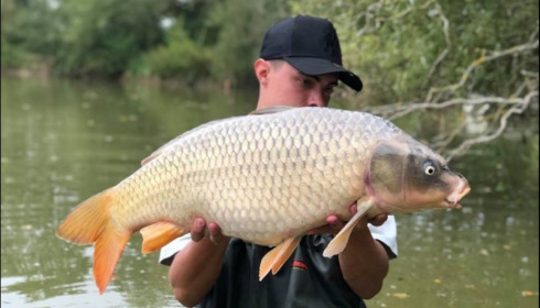 A 21 lb 8 oz carp from Lillybelle, Owen Edwards, Sep 2018