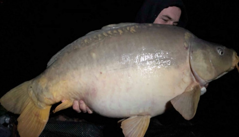 A 31 lb carp from Lillybelle, Cameron Jones, Oct 2019