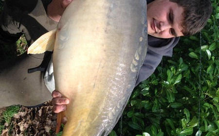 A 29 lb 8 oz carp from Lillybelle, Jordan Cope, Sep 2017