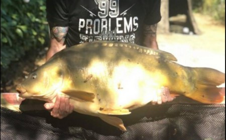 A 32 lb 7 oz carp from Lillybelle, Paul Fitzgibbons, Sep 2018