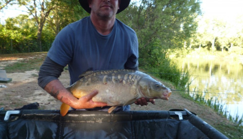 A carp from Lillybelle, Ray Godsell, Jul 2015