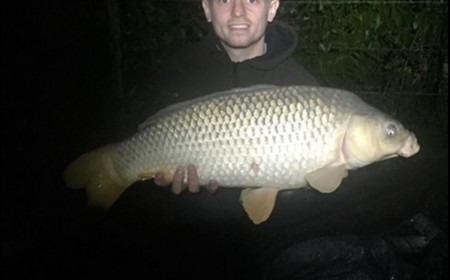 A carp from Lillybelle, Jack Easton, Sep 2018